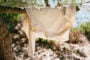CDLP's Resort 2024 Collection